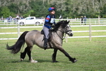 WJ7_8830
