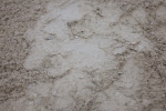 SBM_006559