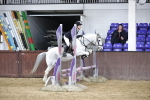 SBM_001055
