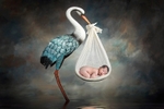 stork boy