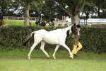SBM_68544