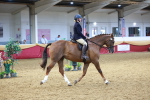 SBM_20557