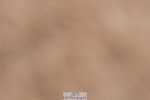 240121A-105108-00495