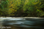 River North Esk at Grannochy, Autumn Colour 14
