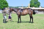 SBM_18236