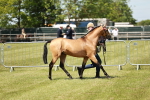 SBM_05568