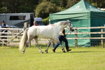 SBM_01660