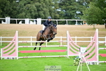 2026-08-21A-DSC_4622