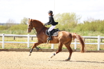 SBM_004660