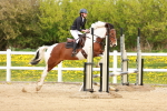 SBM_004475