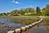 Leryn stepping stones