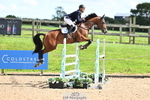 Cls 15 Snr Foxhunter portfolio