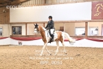 BPP_9051