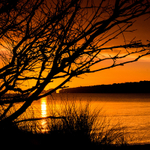 Studland Sunrise
