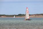 Appledore Regatta 5