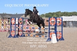 BPP_6890