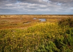 Stiffkey Marshes (01)