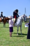 SBM_15434