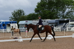 SBM_00131