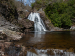 Rhaeadr Mawddach, Coed y Brenin