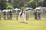 SBM_15893