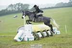 381-Alice.Tollworthy-OUR.DOLPHIN.STAR portfolio
