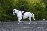 WJ5_8970