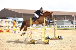 SBM_004496