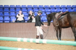 SBM_000353