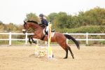 SBM_008037