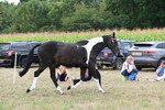 WJ6_5654