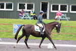 SIAL8751