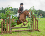 Dunblane show-112