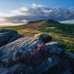 Heather on Carl Wark (2)
