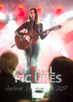 Nessi Gomes - Diamonds  Demons Album Launch-1