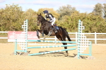 SBM_003503