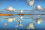 Family Swans at Lough Ree