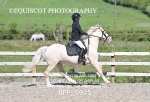 BPP_6945