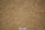 230409A-103322-00319