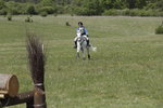 BVHT 140517  IXC -600
