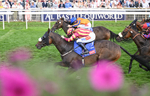 Race 5 16.10pm Sky Bet Constantine Handicap portfolio