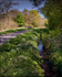 Country Lane