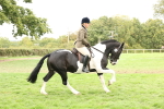 S67 - Piebald & Skewbald Horse Ridden portfolio