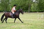 WJ6_5933