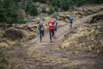 Glentress-1429