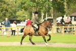 SBM_69340