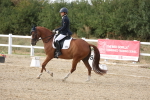 SBM_015775