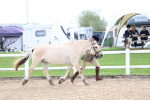 SBM_03913