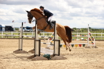 SBM_003390