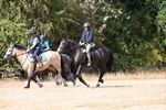 WJ6_9046